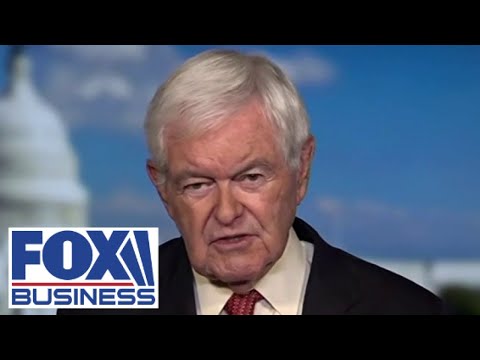 Gingrich warns of a 'NIGHTMARE AND JUNGLE' if this is taken away